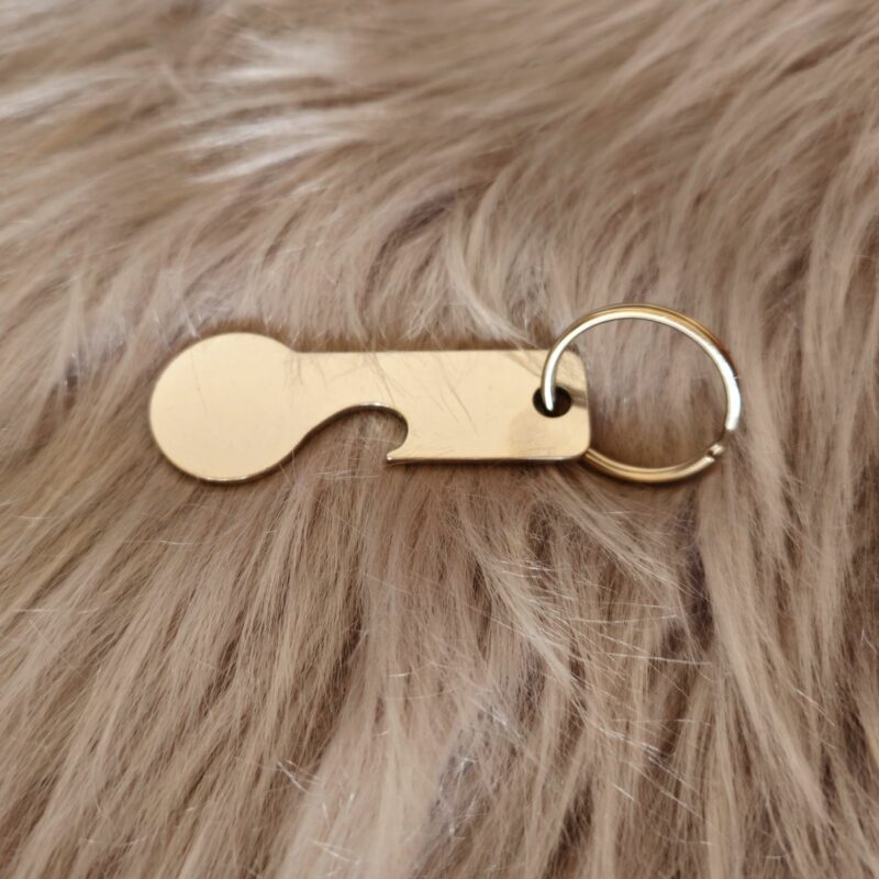 Edelstahl Schlüsselanhänger Wagenchip